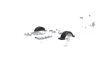 Skærm til bådtrailer 13" DOMAR D20422 hjulkasse 950/240mm